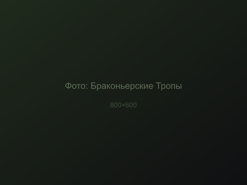 Браконьерские Тропы