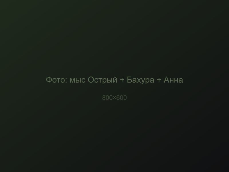 Квадротур на мыс Острый + р. Бахура + р. Анна